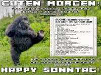 Gorilla sucht langsame Wanderfreunde!