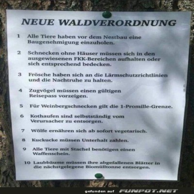 Hauptsache-eine-Verordnung.jpg von Talia1999