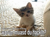 Warum musst du arbeiten