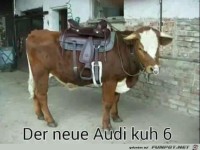 Der neue Audi