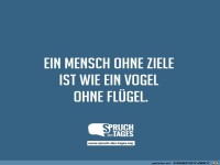 ein-mensch-ohne-ziele-ist-wie-ein-vogel-ohne-fluegel