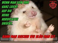 11143718 393471967504975 7580727118955073640 n