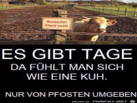 Manche Tage