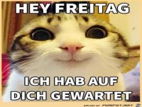 Freitag