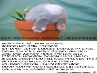 Der Osterhase sagt tschss