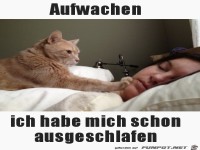 Aufwachen