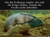 Die Fische bei�en nicht an