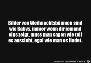 Bilder-von-Weihnachtsb�umen.jpg auf www.funpot.net