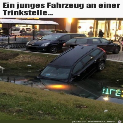 An-der-Trinkstelle.jpg von Keule56