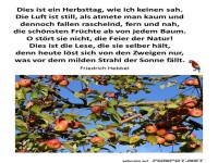 Herbstbild