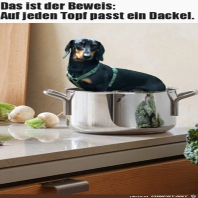 Auf-jeden-Topf.jpg von Harald48