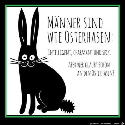 Osterhase.jpg von Karan