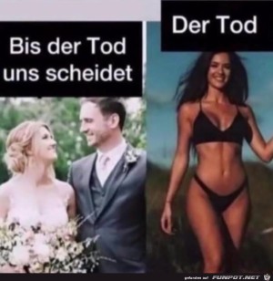 Scheidung.jpg auf www.funpot.net