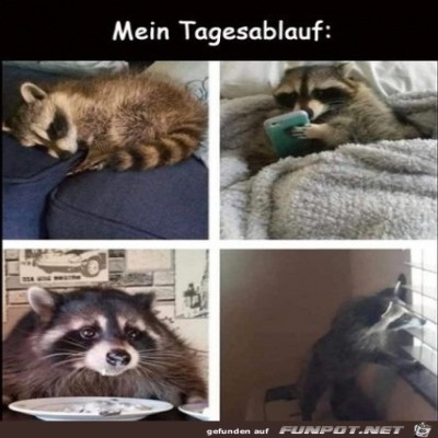 Mein-Tagesablauf.jpg von Supersusi