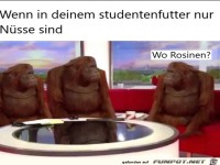 wo sind die Rosinen?