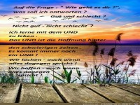 Auf die Frage wie geht es dir