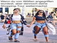 Von W�lfen angegriffen