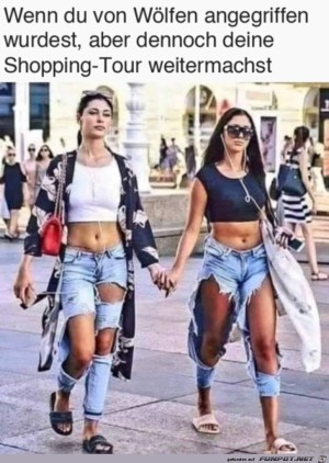 Von-Wlfen-angegriffen.jpg auf www.funpot.net
