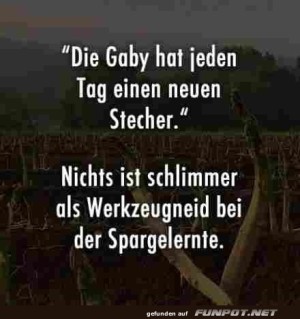 Die-Gaby.jpg auf www.funpot.net