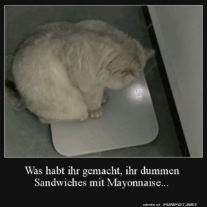 Blde-Sandwiches.jpg auf www.funpot.net