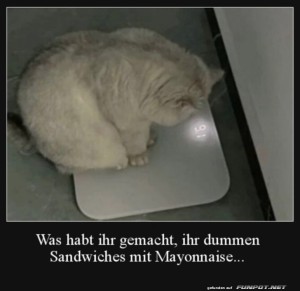 fun-Bild: Blöde Sandwiches