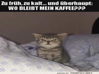 M�de Katze wartet auf Morgenkaffee