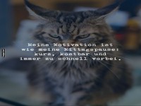 Motivation und Mittagspause