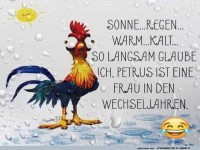 Wetterhumor mit einem lustigen Hahn