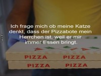 Katzenlogik: Pizzabote gleich Herrchen!
