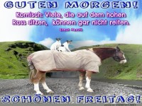 Die Hundehochburg ist erffnet!