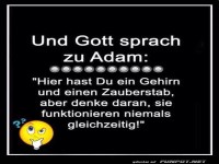 Wenn Gehirn auf Zauberstab trifft