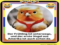 Fr�hlingsvogel mit Business-Look