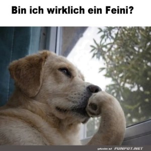 Philosophischer-Hund-denkt-über-Feini-Dasein-nach.jpg von Gregor