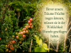 weiter