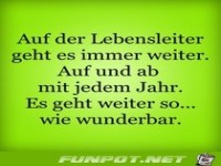 auf der Lebensleiter