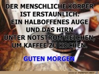 DER MENSCHLICHE KOeRPER