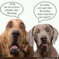Alda-da-ist-schon-wieder-der-Montag.jpg auf www.funpot.net