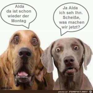Begrüßungsbild