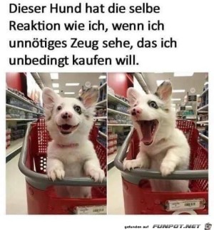 Das-will-ich-unbedingt-kaufen.jpg auf www.funpot.net