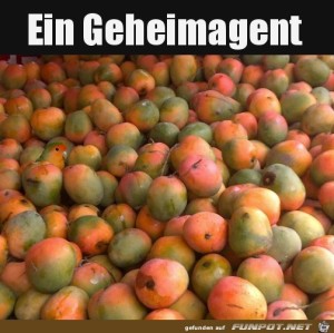 Wer-hat-sich-hier-versteckt?.jpg auf www.funpot.net