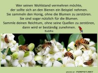 Wohlstand vermehren