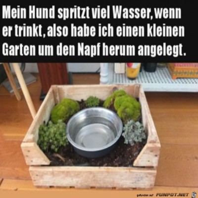 Garten-um-Trinknapf.jpg von Finn