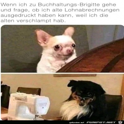 Um-einen-Ausdruck-betteln.jpg von Hannah