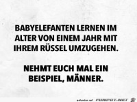 Von Elefanten lernen