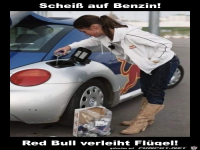 Schei� auf Benzin!