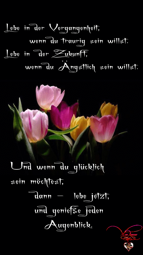 Lebe-in-der-Vergangenheit-wenn-du-traurig-sein-willst.gif auf www.funpot.net