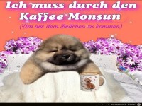 Kaffee Monsun