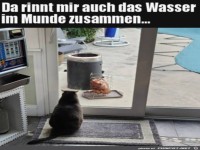 Da l�uft einem das Wasser im Mund zusammen