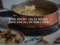 K�se ist klasse