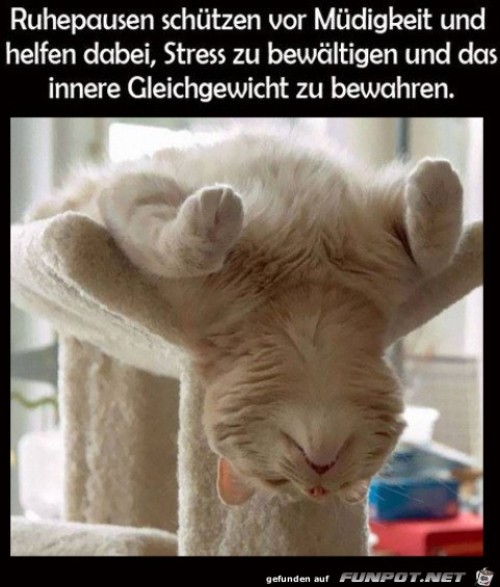 Ruhe-ist-wichtig.jpg auf www.funpot.net